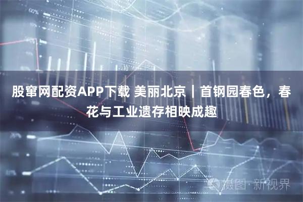 股窜网配资APP下载 美丽北京｜首钢园春色，春花与工业遗存相映成趣